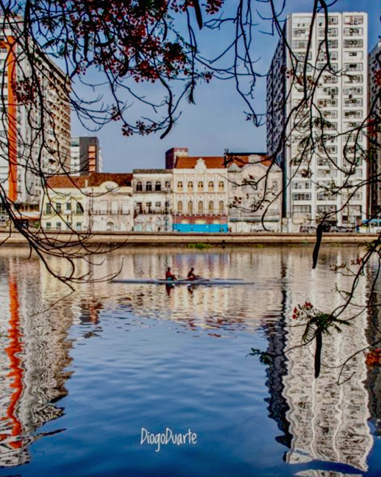 Região da unidade Virtua Aurora